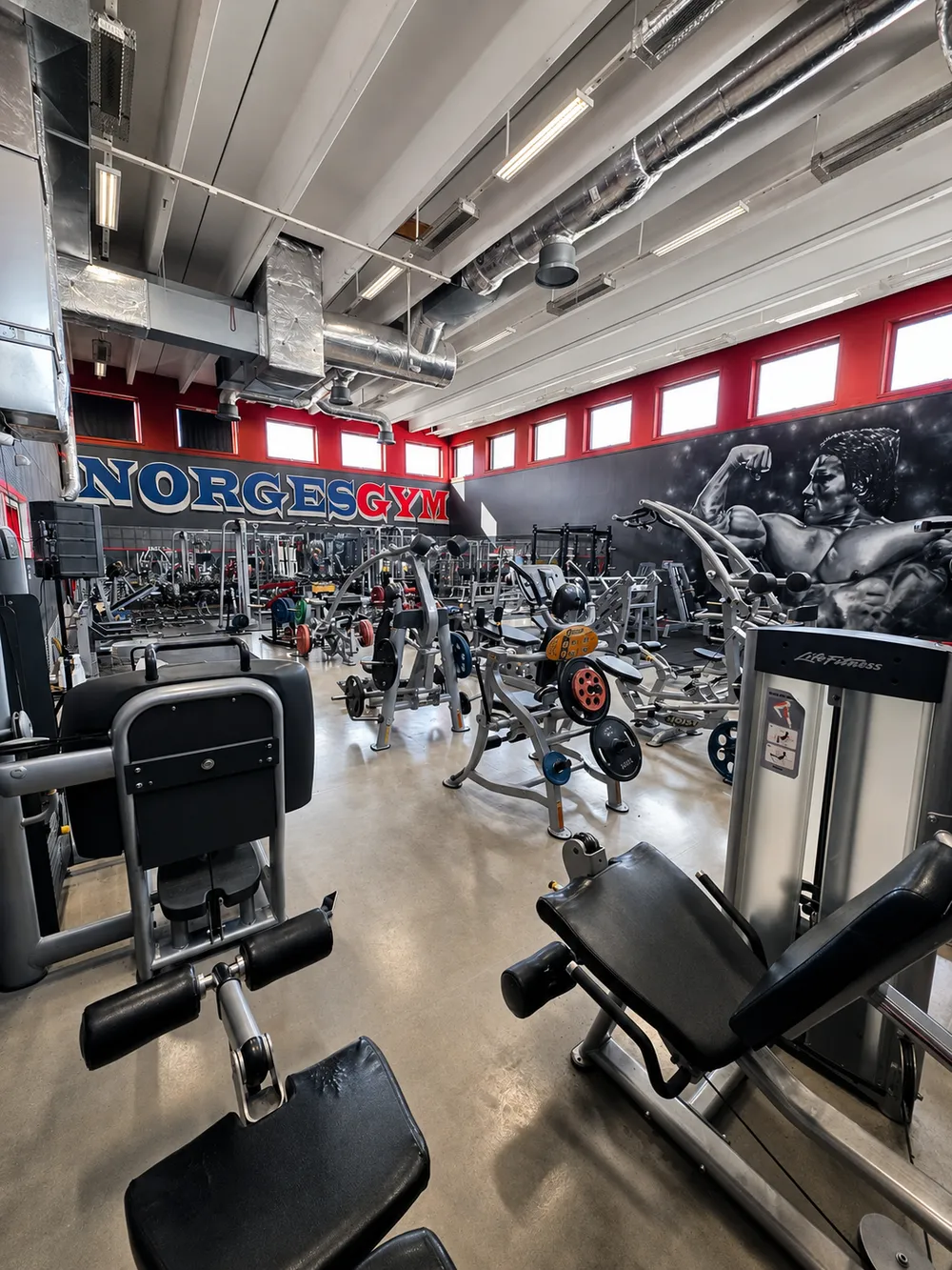 Hele hovedsalen